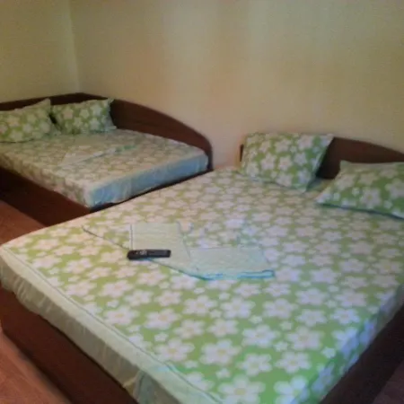 Guest house Vila Emi *